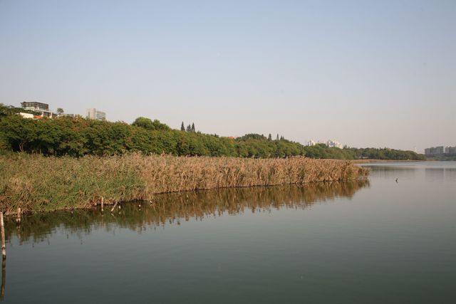希望大师指点指点,最好能后期一下看看对比图,好知道学习方向