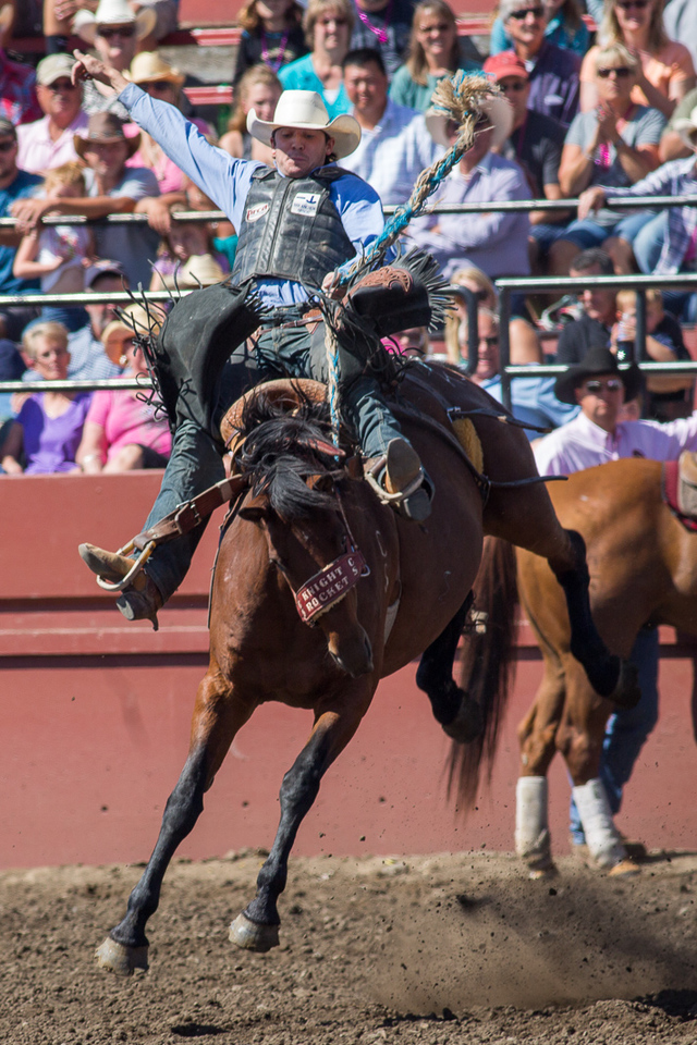 西部牛仔斗牛表演 - 行行色色