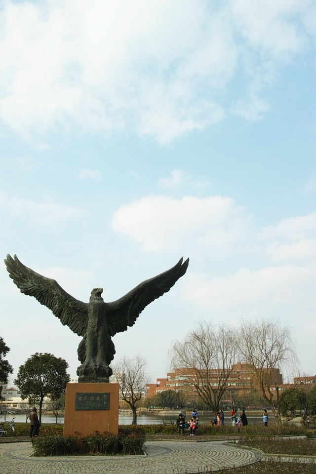 雕牌儿,记住这支鹰