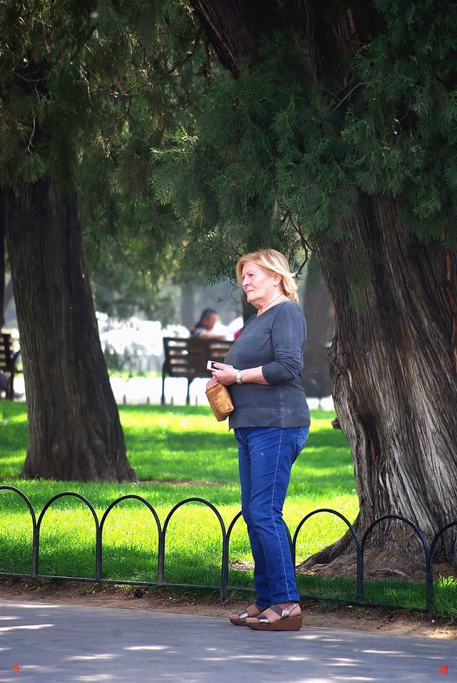 天坛公园古树下等人的外国老太太 !