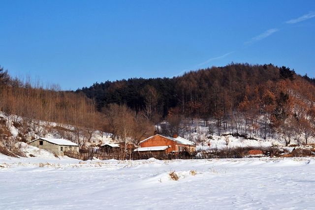 冬季东北村野 - 自然摄影