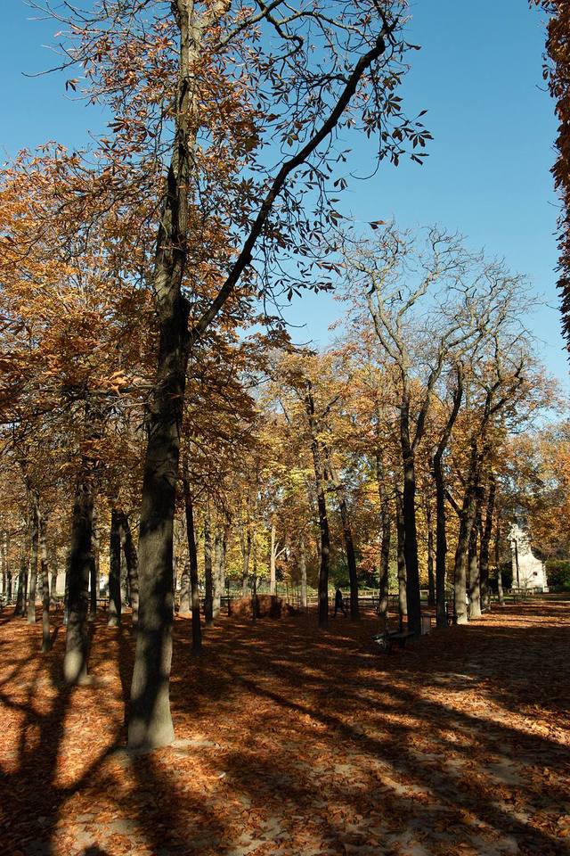 我的适马团队 - sigma论坛