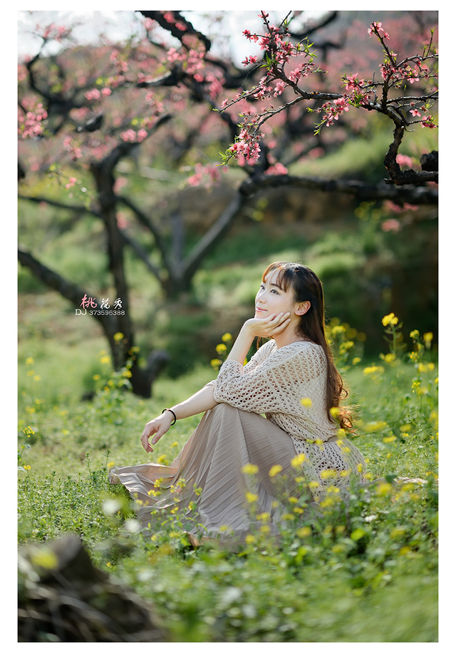 李洞的桃花树树龄老,树形很好,拍人像的好场景.