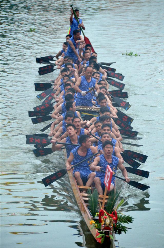 主题:今天拍摄的 广东传统龙舟