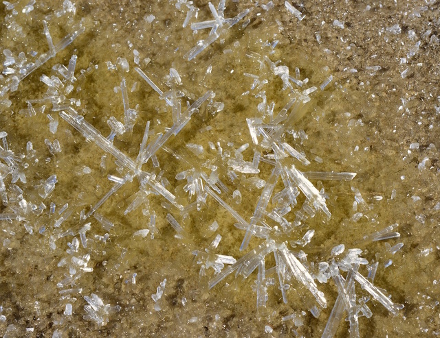 干涸水洼中析出的结晶体