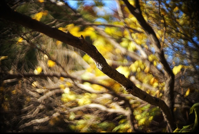 镜头焦外艺术交流(续) - 摄影镜头