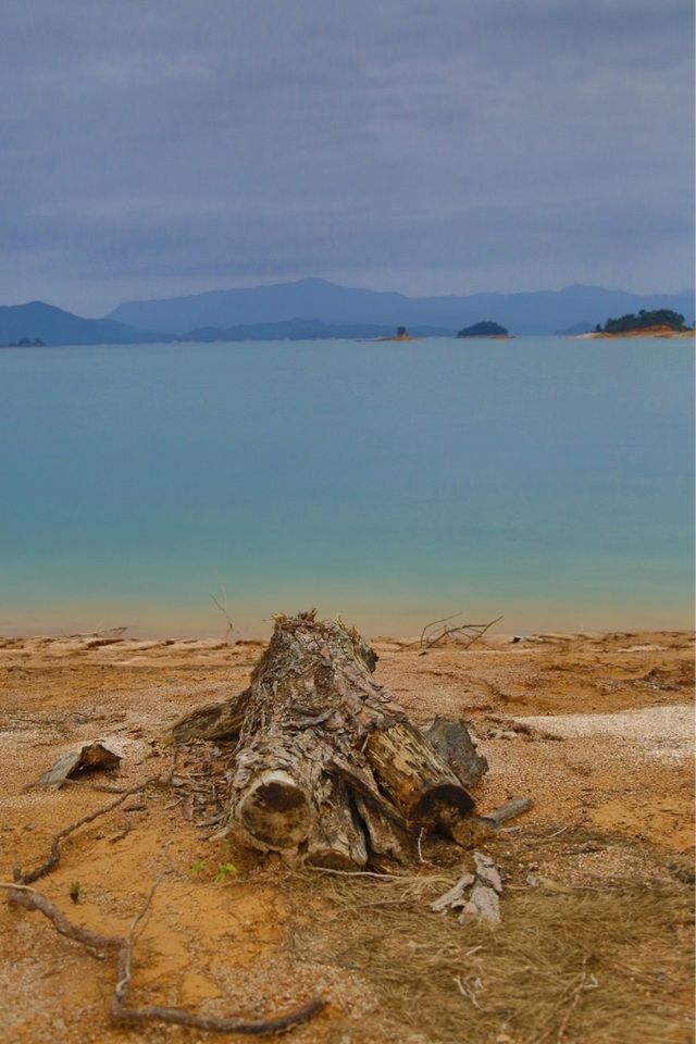 文字论坛 行行色色 昆沙   泡菜                            泡网分