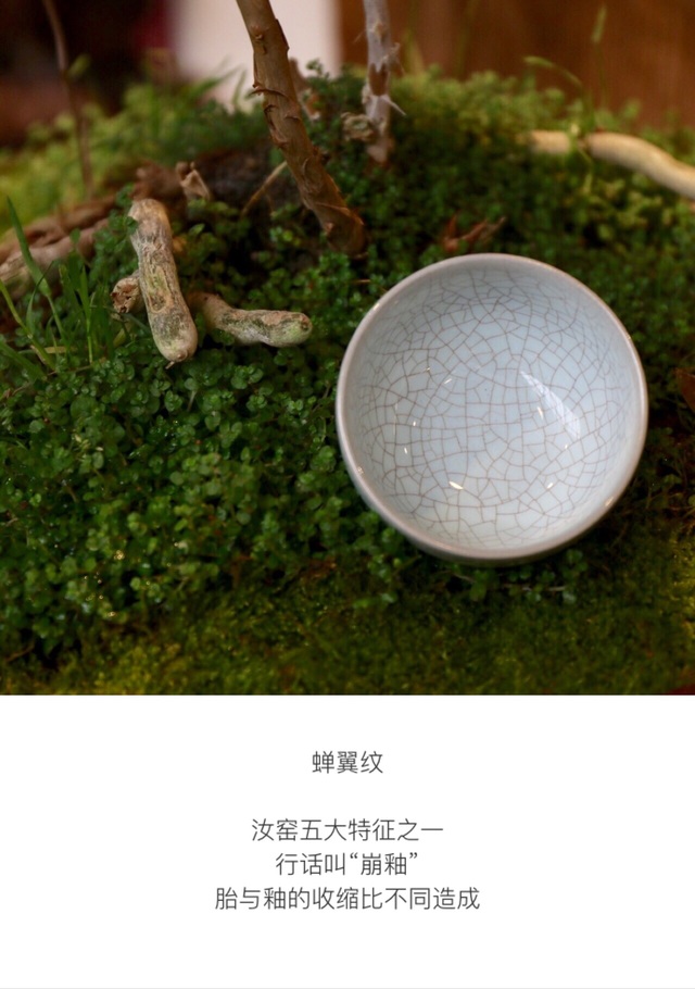 蝉翼纹  本帖由ios客户端发布