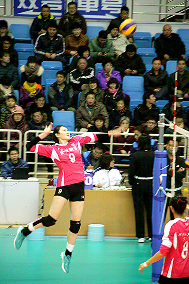中国女排联赛集锦(1) 